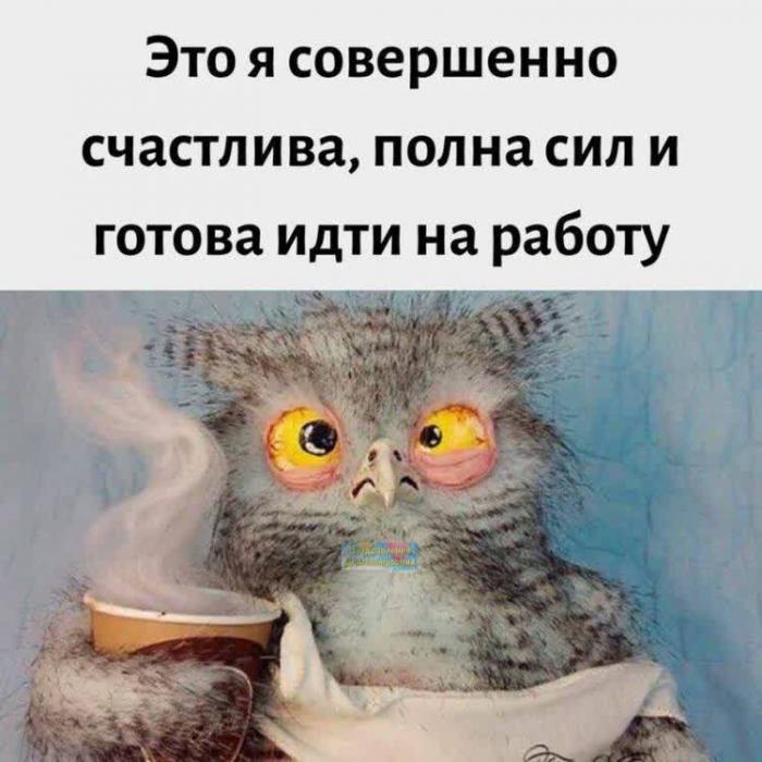 Картинка к новости