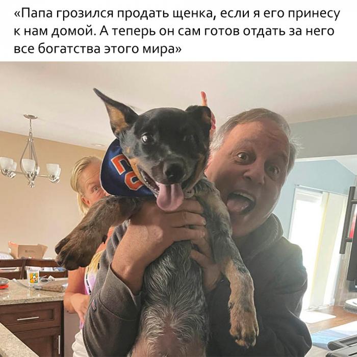 Картинка к новости