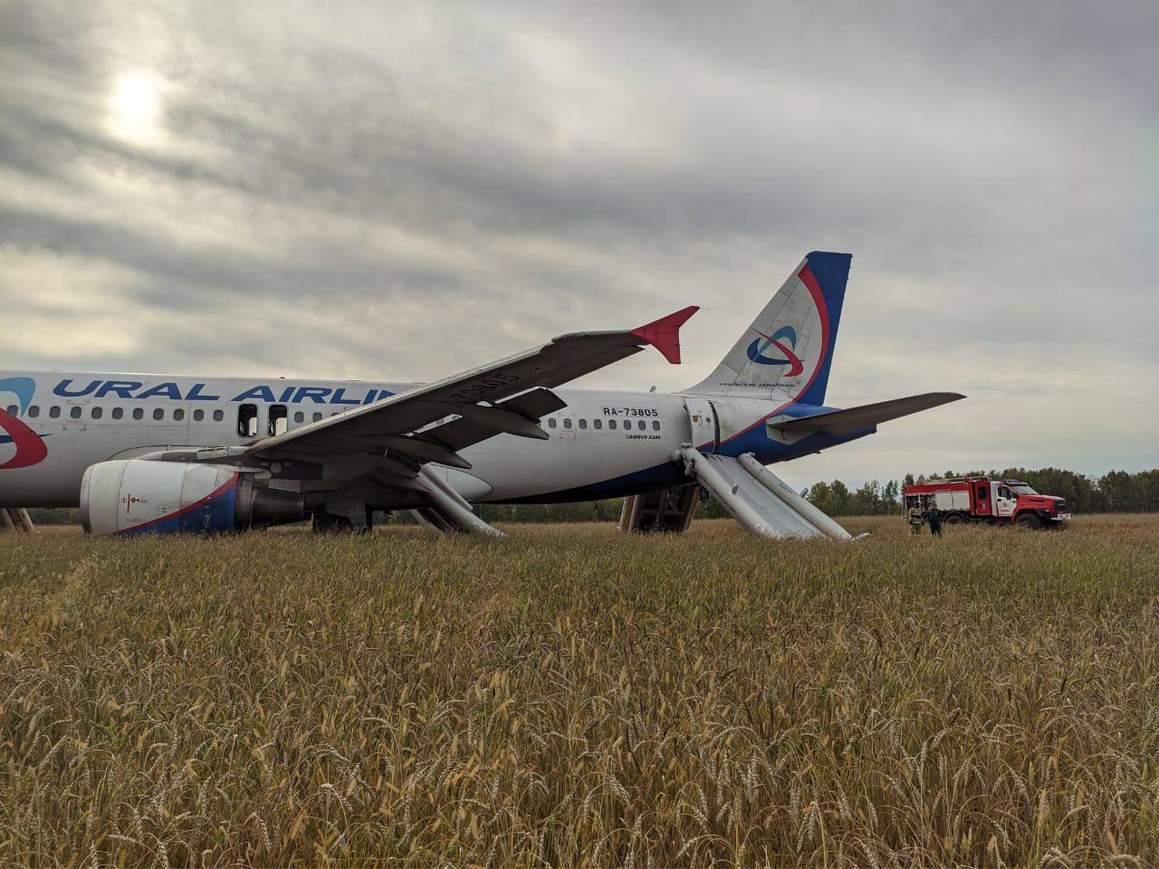 Самолет сел в поле