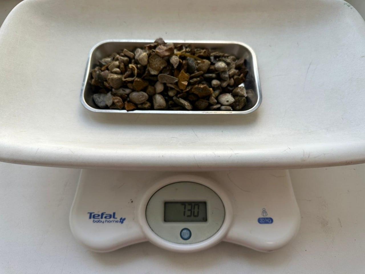 Корги съел камни