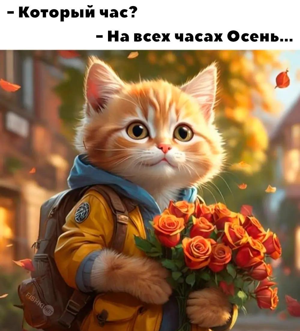 Осень, котик