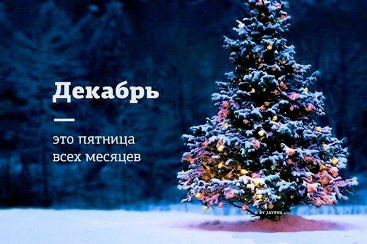 Доброе утро, декабрь