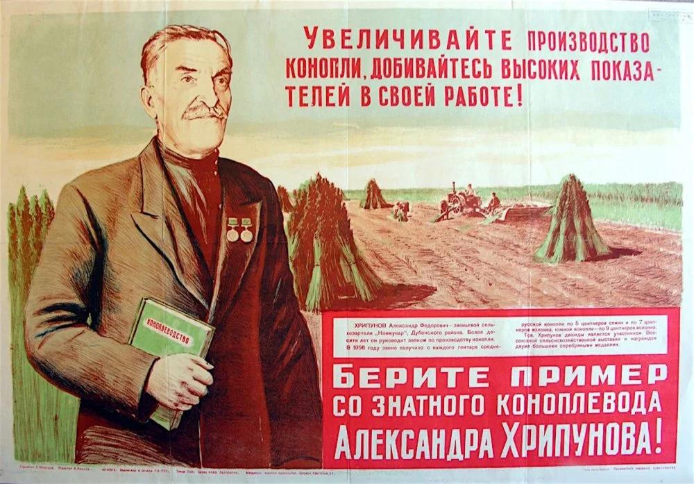 Конопля в России
