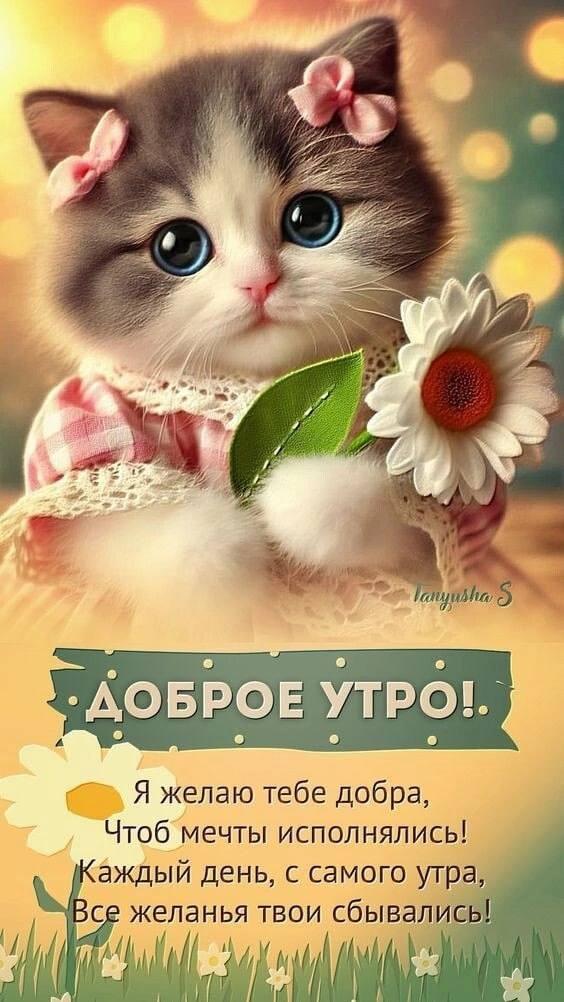 Доброе утро
