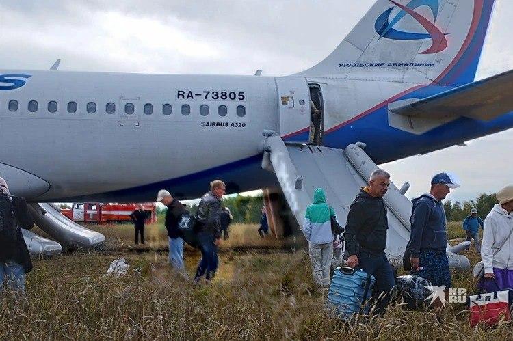 Airbus А320 в поле