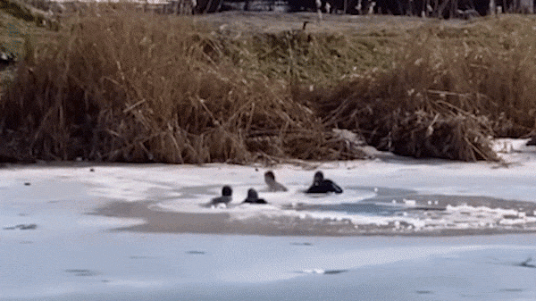 Дети в ледяной воде, спасатели тонут