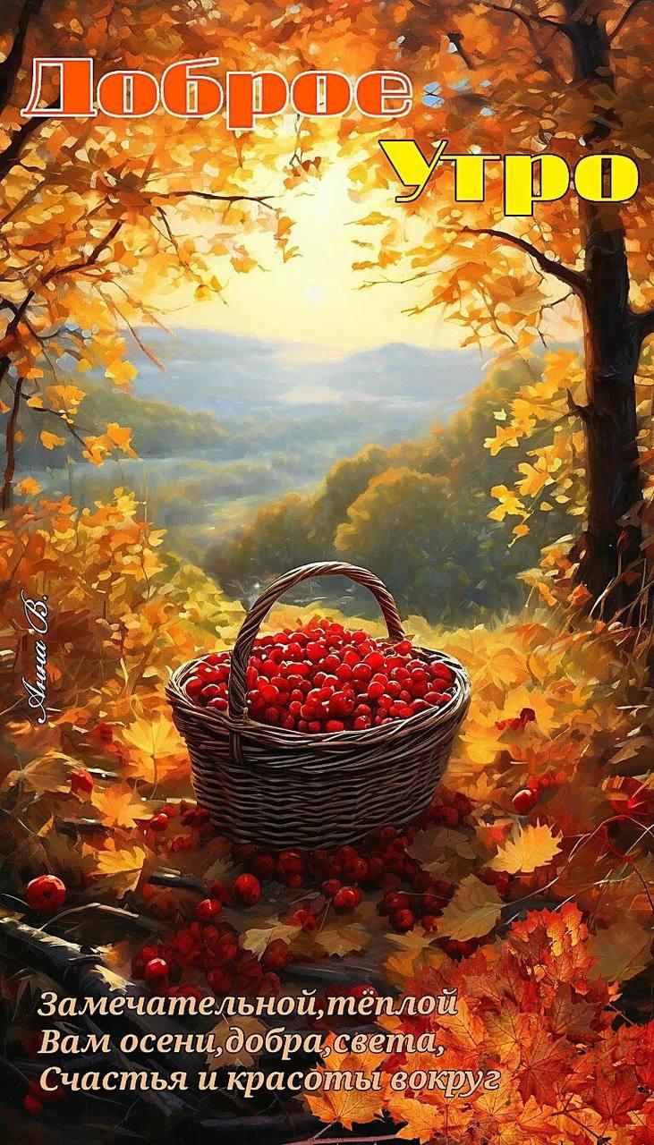 Доброе утро