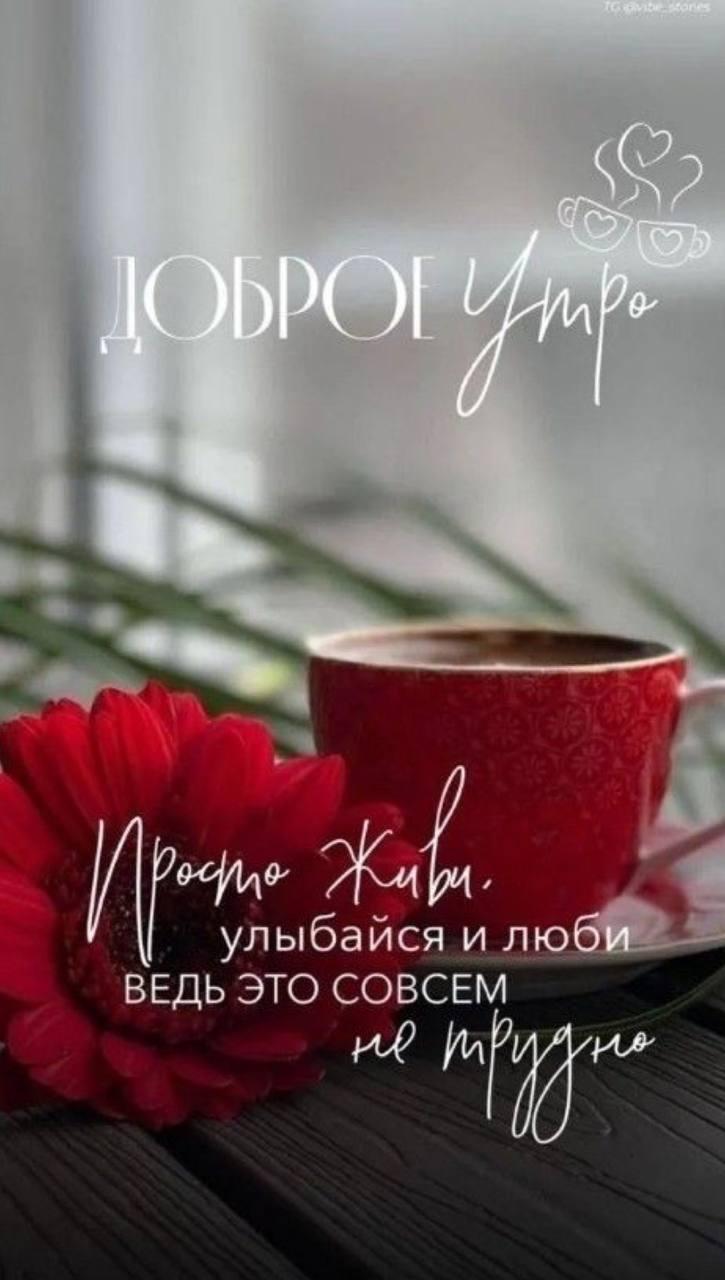 Доброе утро