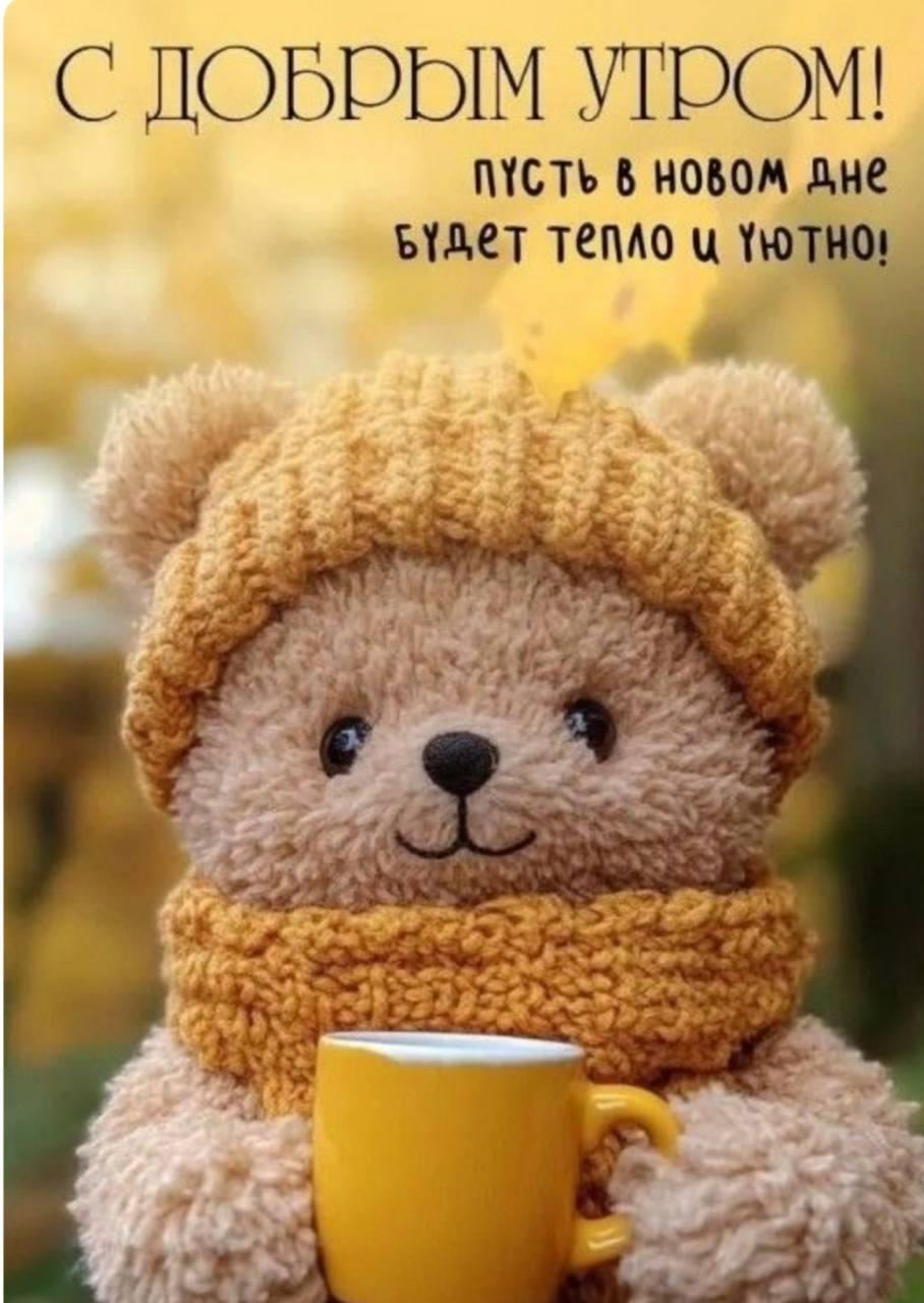 Доброе утро