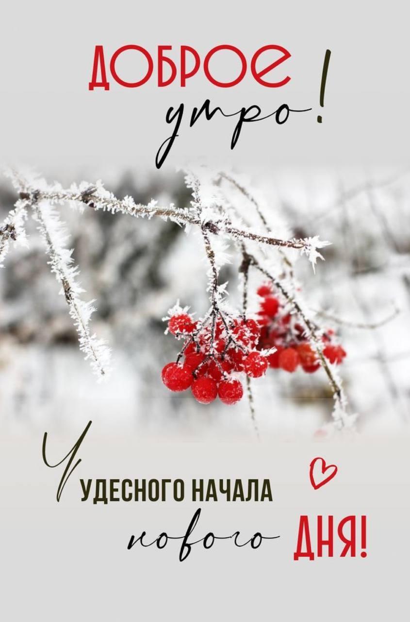 Доброе утро