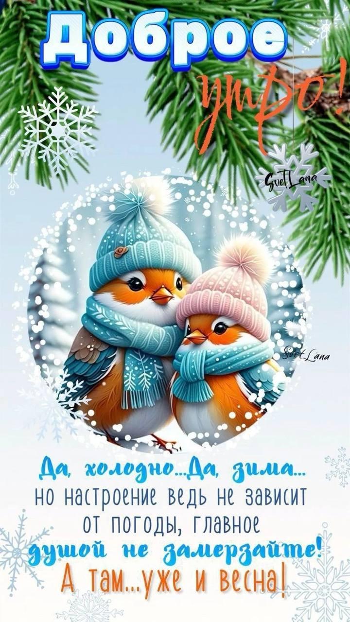 Доброе утро