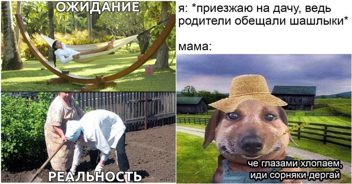 Огород на майские