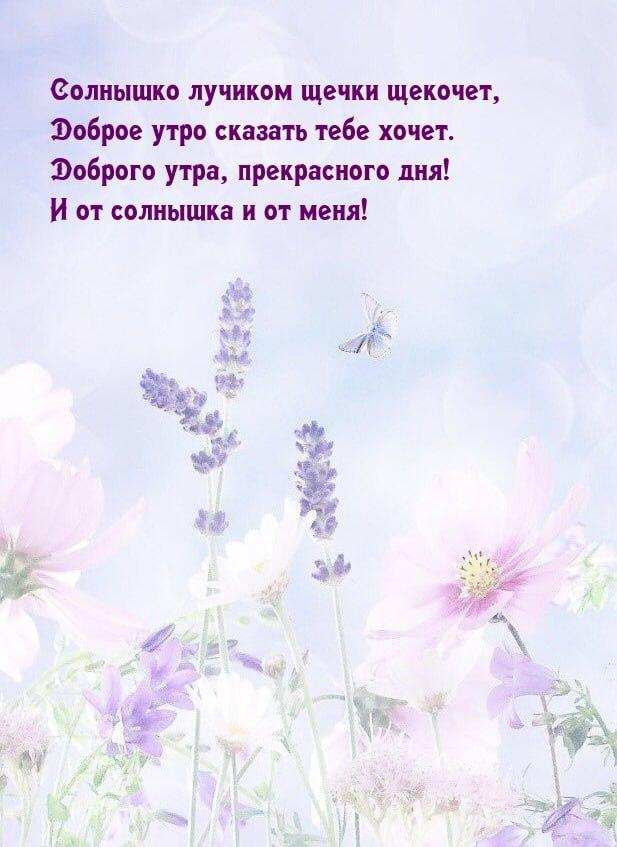 Доброе утро