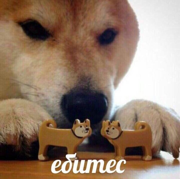 Мем ебитес