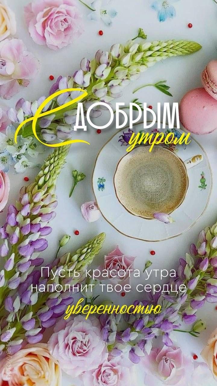Доброе утро