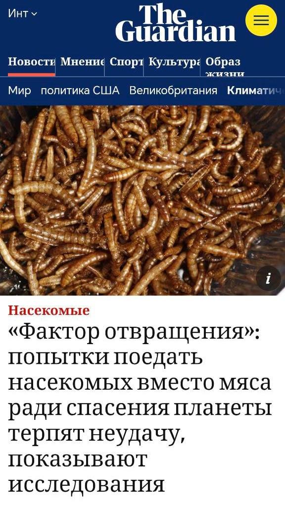 Людям не нравятся насекомые