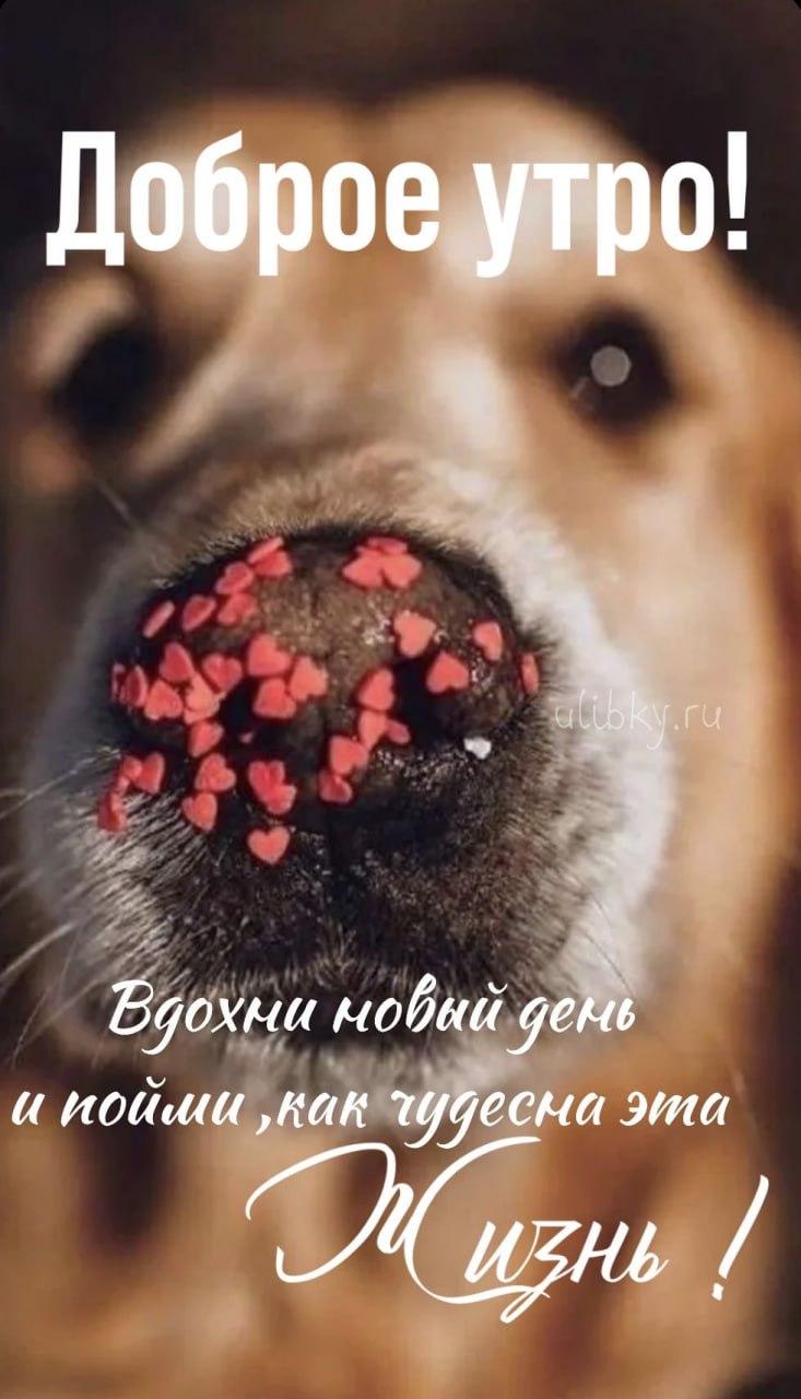 Доброе утро