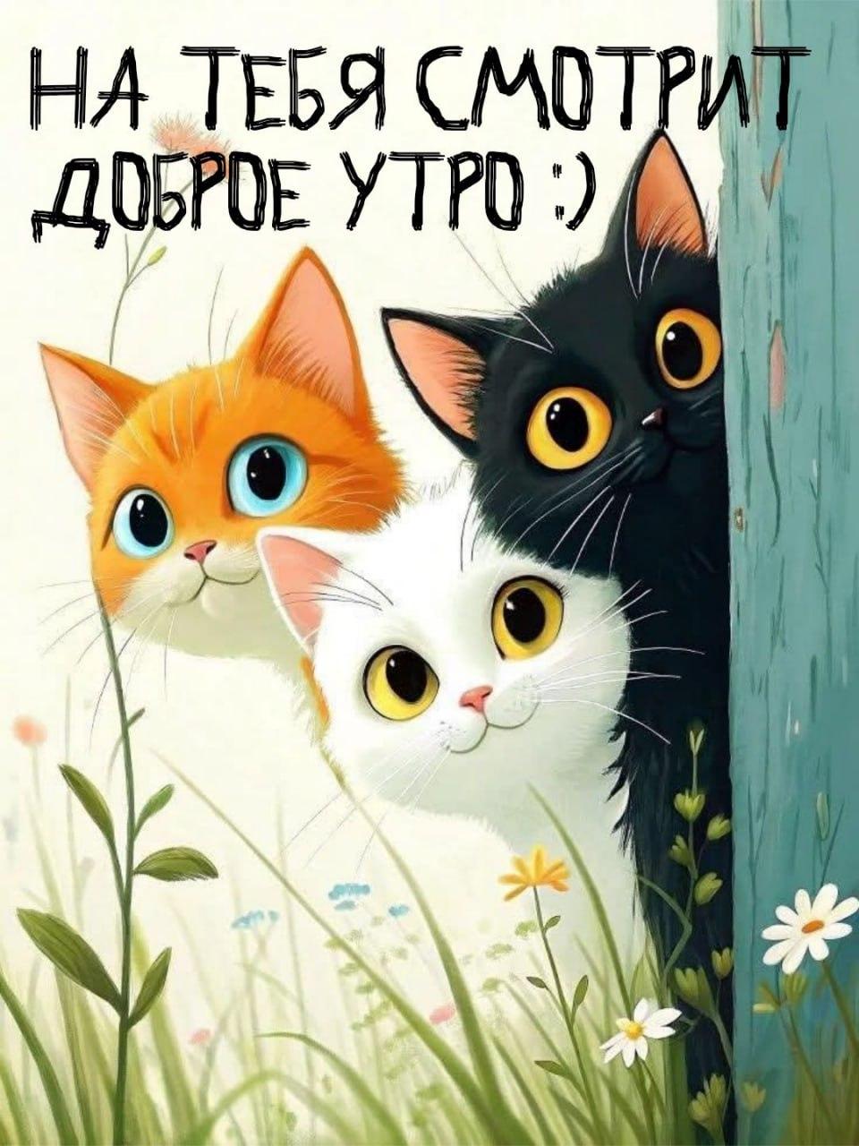 Доброе утро