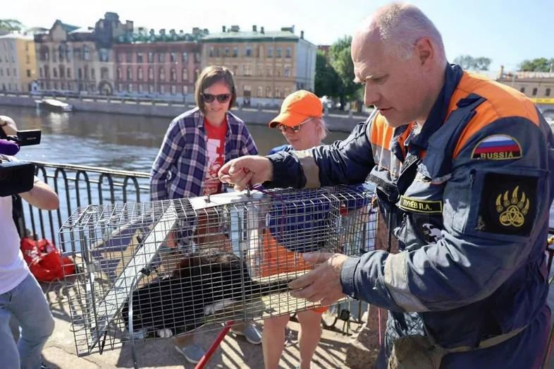 Спасли кота на Фонтанке