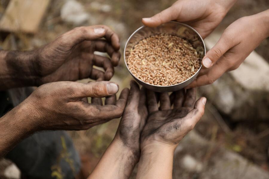Вооружить бомжей пневматическими винтовками