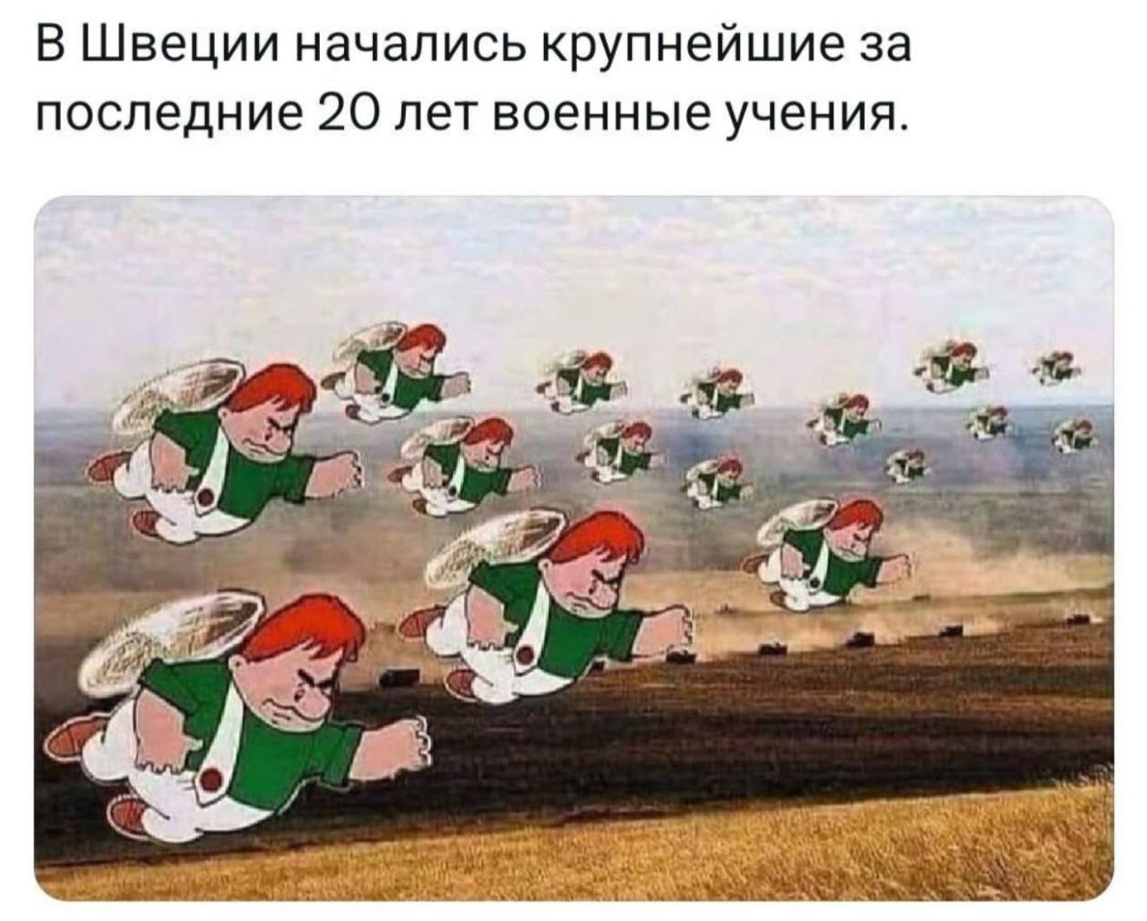 Учения в Швеции мем