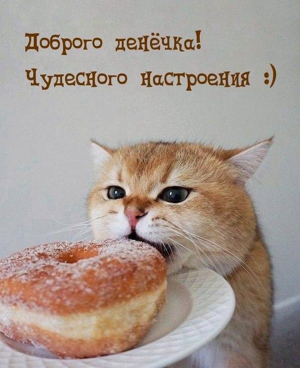 Доброе утро