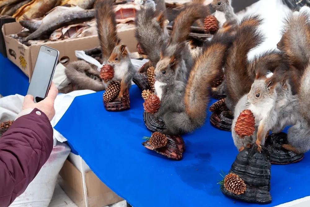 Опасная мода