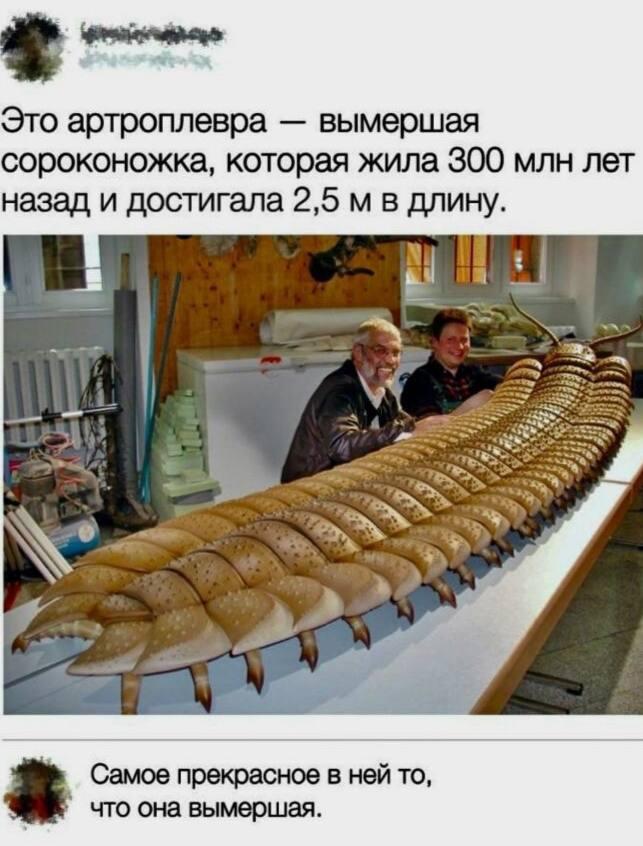 Палеонтология, мем