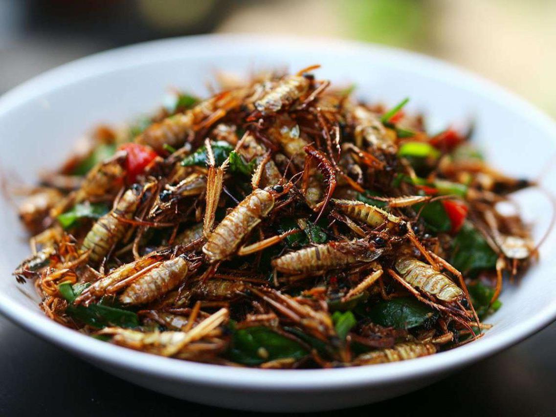 Насекомых есть не будем