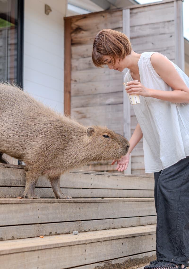 Отель с капибарами - Izu Resort Villa