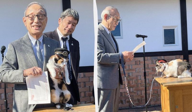 Йонтама - кошка смотритель станции в Японии