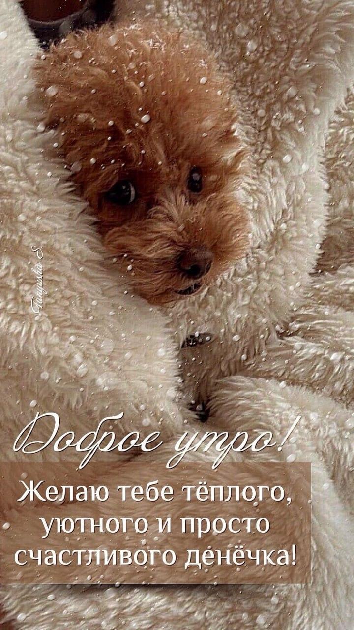 Доброе утро