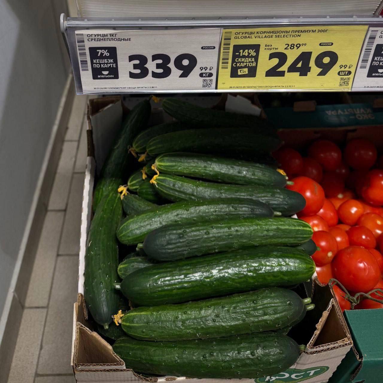 Дорогие огурцы