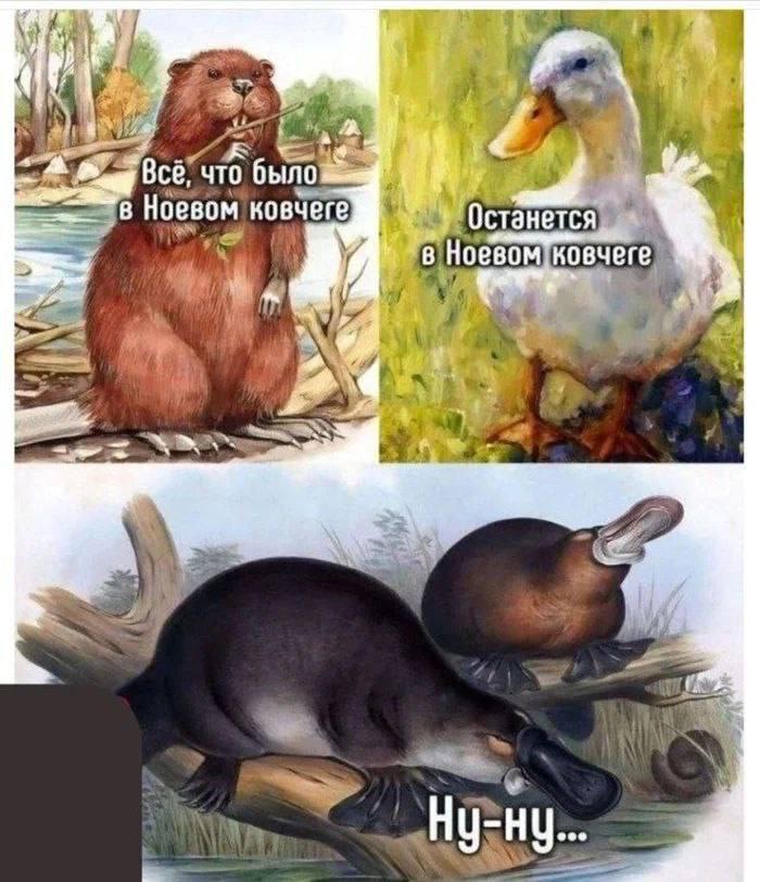 Утконос, мем