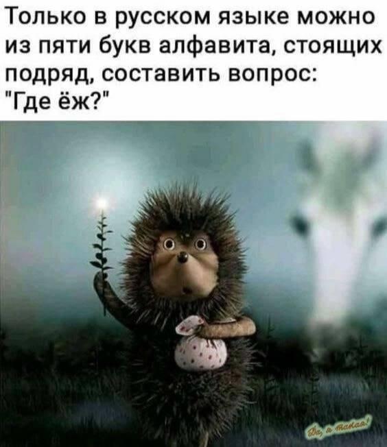 Где ёж, мем