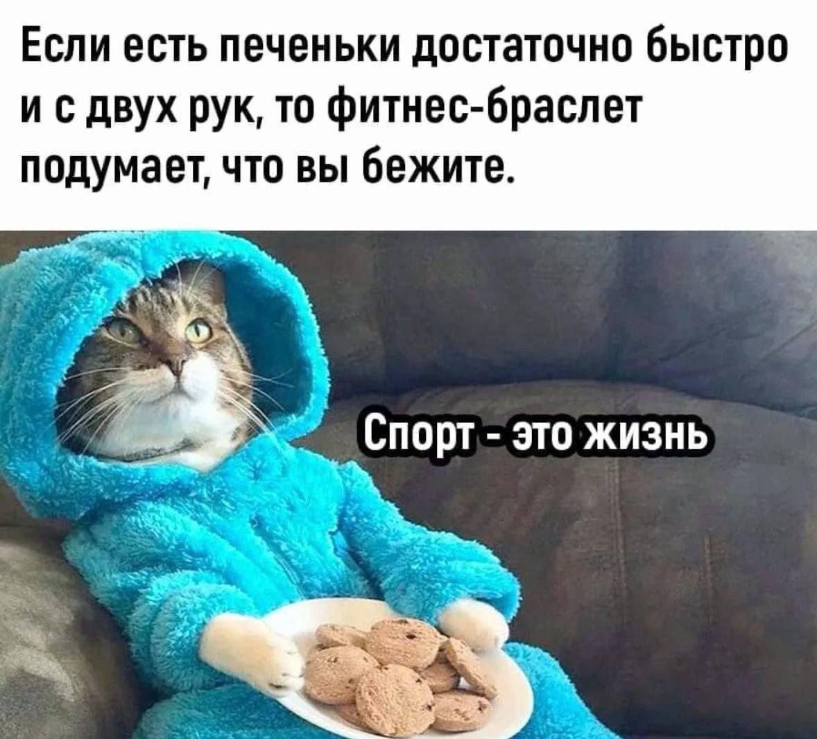 Печеньки и спорт
