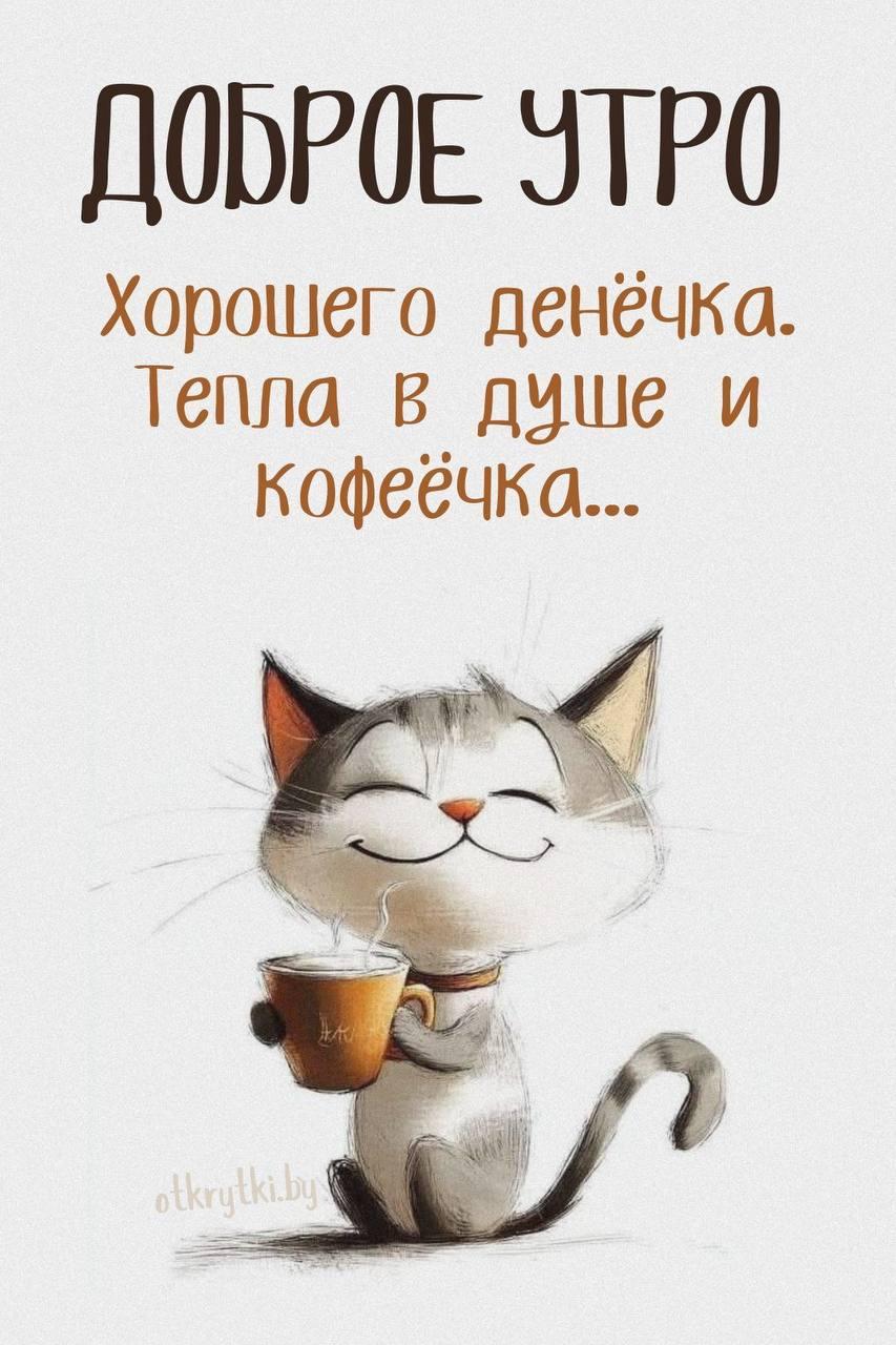 Доброе утро