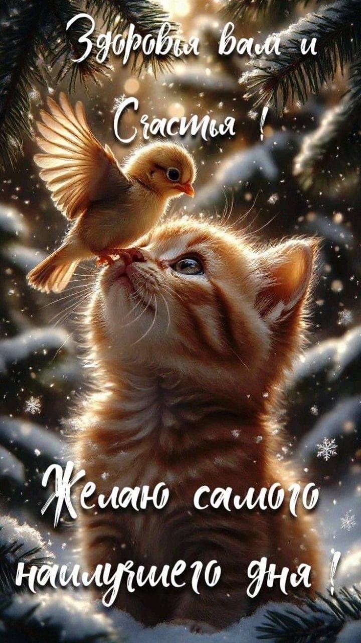 Доброе утро