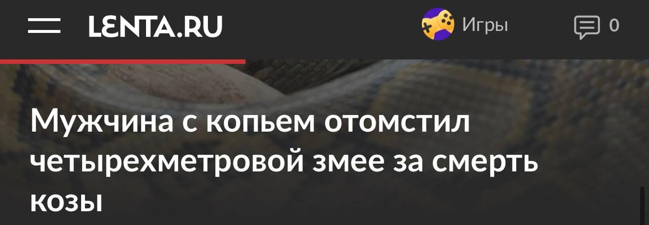 Мужчина отомстил змее