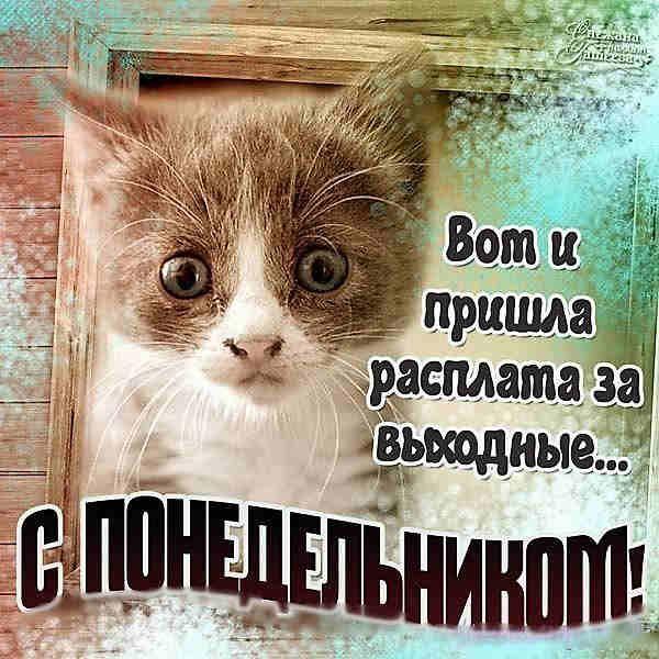 Доброе утро понедельника