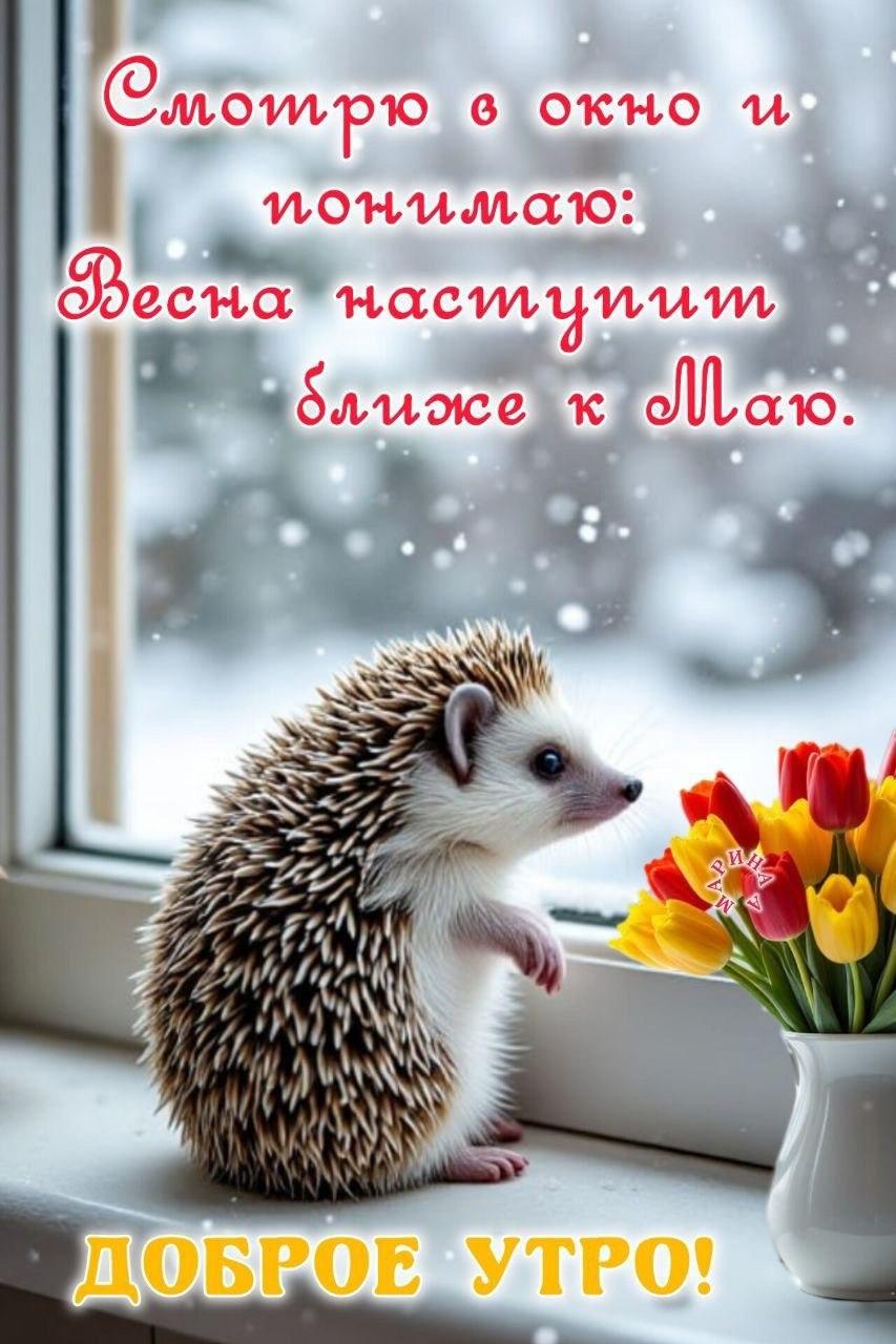 Доброе утро