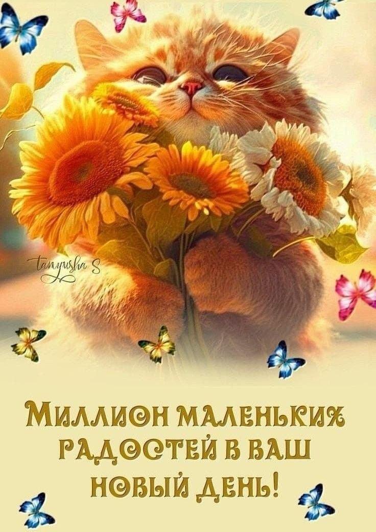 Доброе утро