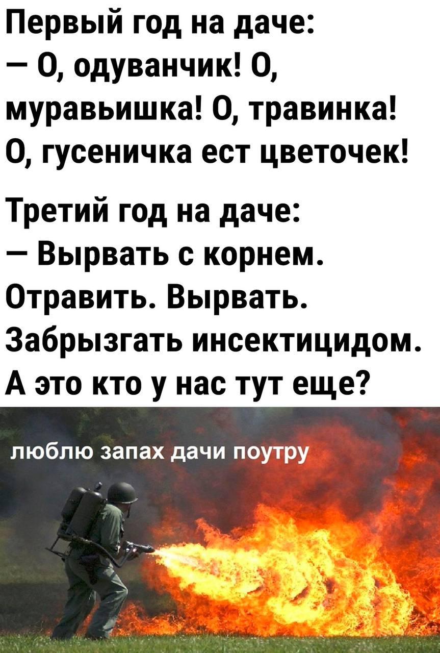 Дачный сезон