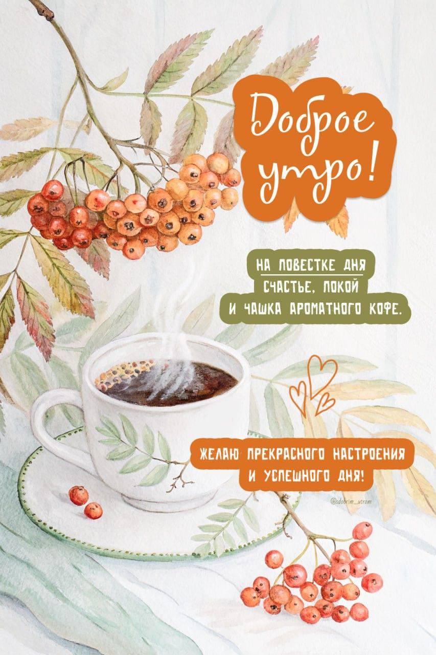 Доброе утро