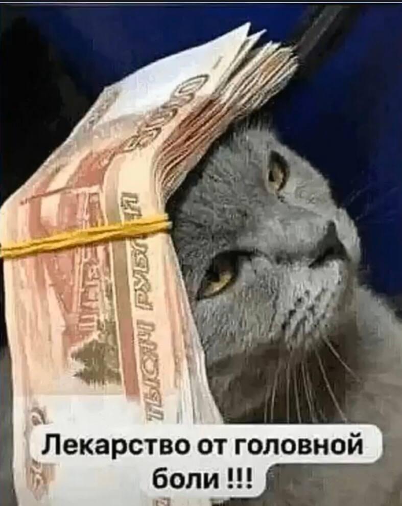 Котики и деньги, мем