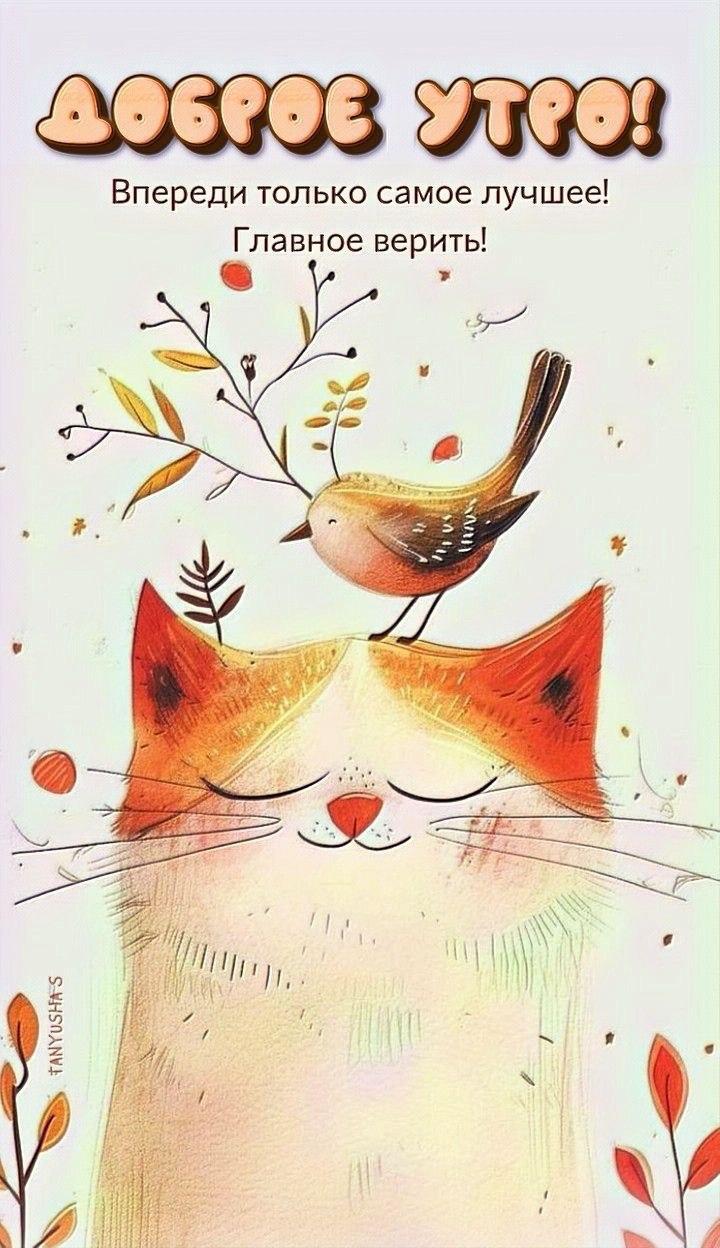 Доброе утро