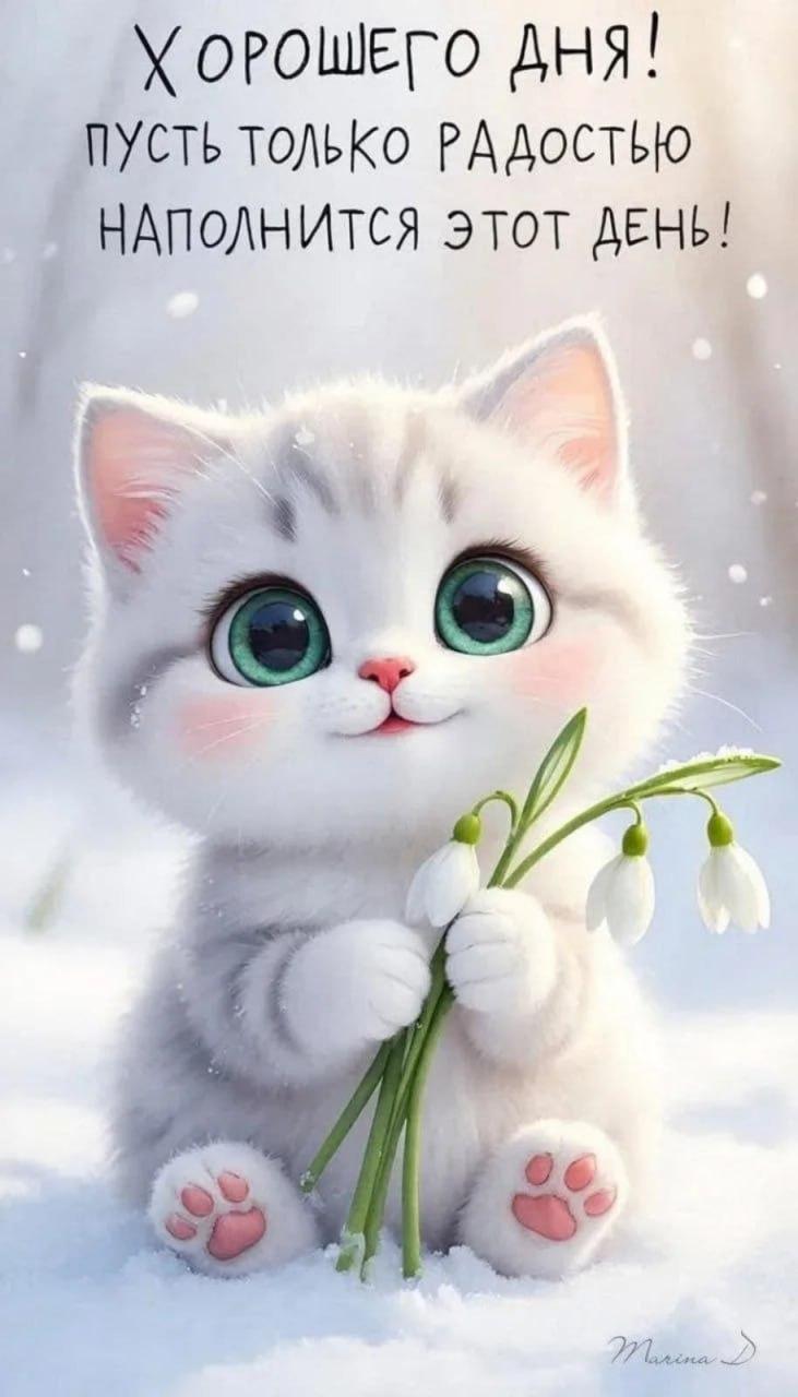 Доброе утро