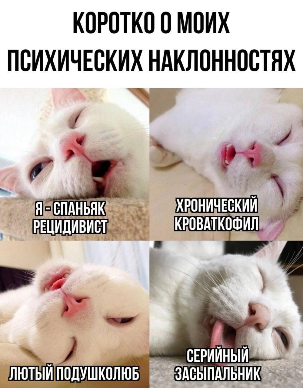 Сонный маньяк