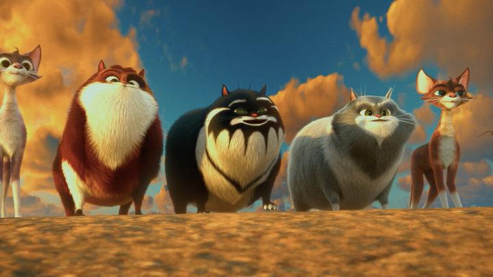 Коты Эрмитажа снова на экране