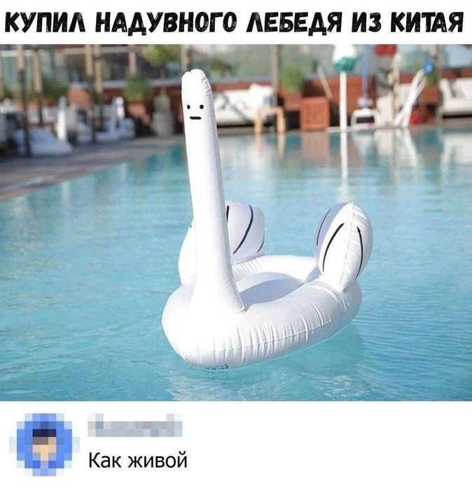 Надувной лебедь